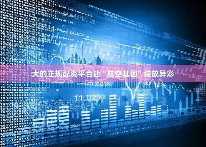 大的正规配资平台让“航空基因”绽放异彩