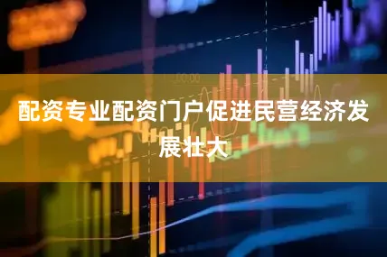 配资专业配资门户促进民营经济发展壮大