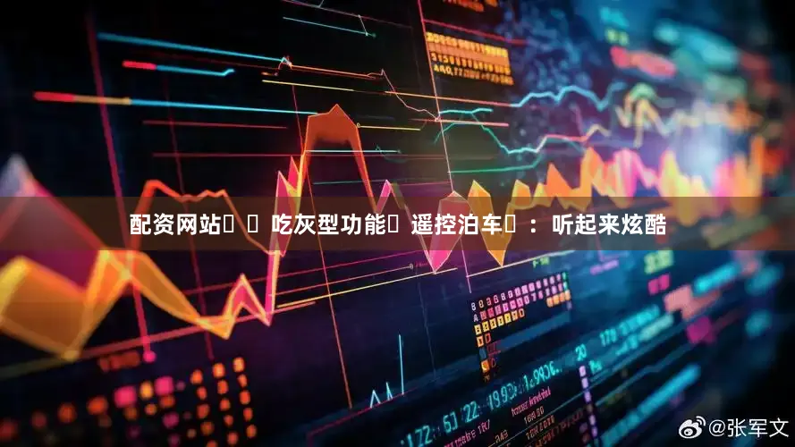 配资网站⭐️吃灰型功能‌遥控泊车‌：听起来炫酷