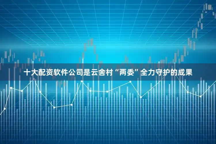 十大配资软件公司是云舍村“两委”全力守护的成果