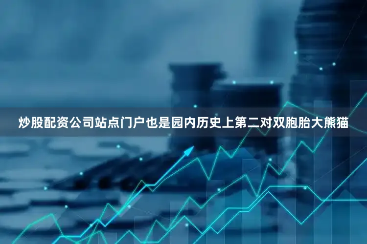 炒股配资公司站点门户也是园内历史上第二对双胞胎大熊猫